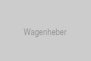 Weber Hafentrailer - Wagenheber